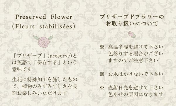 ショップカード